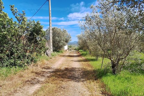 Finca i Mora D'ebre, Tarragona, Mora D'ebre - € 159.000 | Ref: CC840 - foto 27